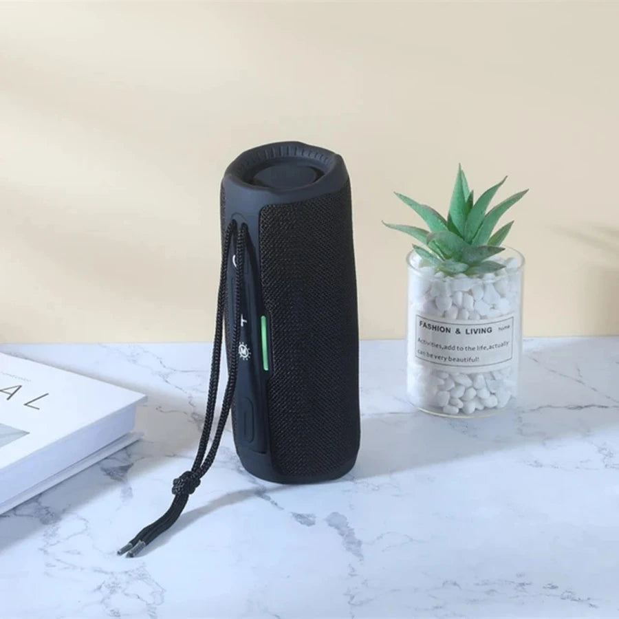 Portable Bluetooth Speaker with FM Radio