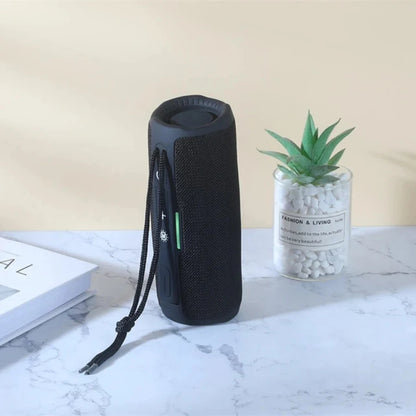 Portable Bluetooth Speaker with FM Radio