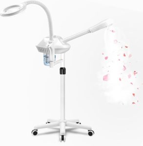 Best Facial Steamer in 2026