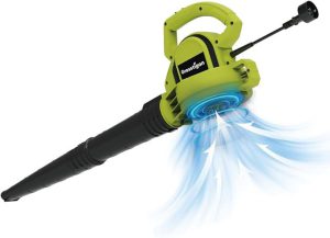 Best Leaf Blower in 2026