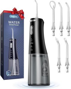 Best Water Flosser in 2026