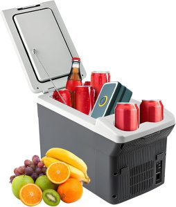 Best Portable Car Cooler in 2026