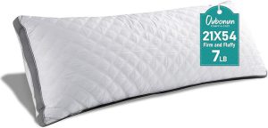 Best Body Pillow in 2026