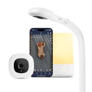 Best Monitor For Machine Learning in 2026