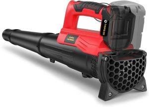 Best Leaf Blower in 2026