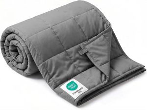 Best Weighted Blanket in 2026