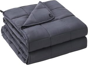Best Weighted Blanket in 2026