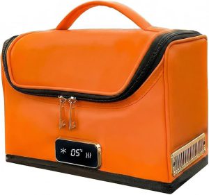 Best Portable Car Cooler in 2026