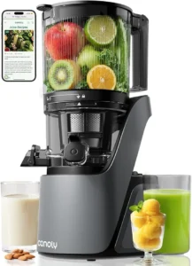 Best Juicer Machine in 2026: Top Picks