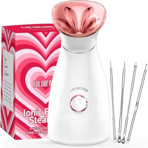 Best Facial Steamer in 2026