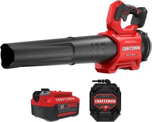 Best Leaf Blower in 2026