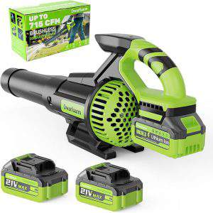 Best Leaf Blower in 2026