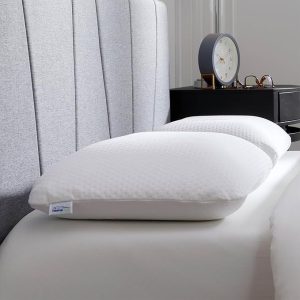 Best Memory Foam Pillow in 2026