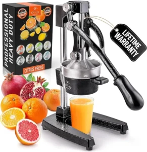 Best Citrus Juicer in 2026: The Top Picks