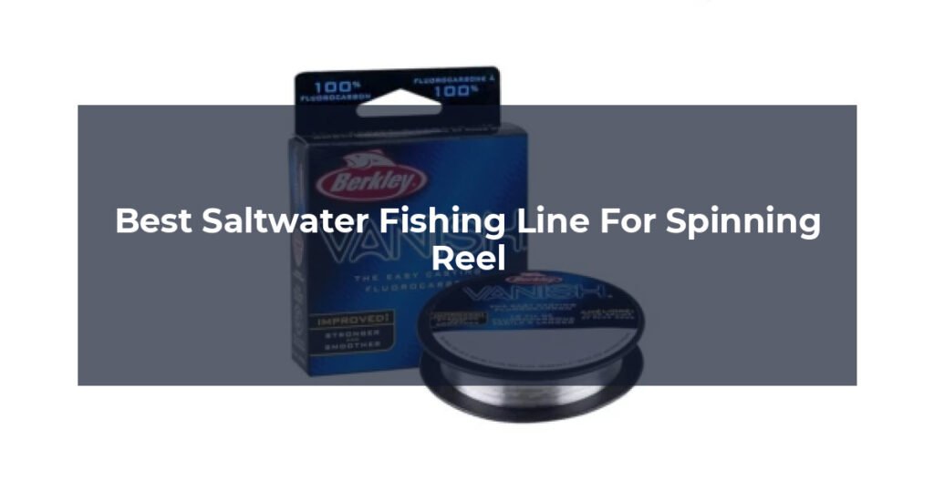 Best Saltwater Fishing Line For Spinning Reel