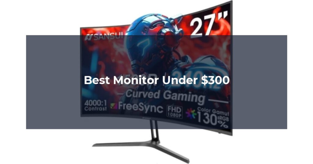 Best Monitor Under $300