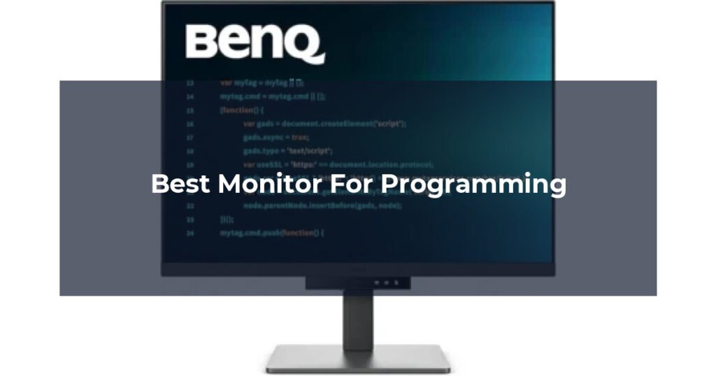 Best Monitor For Programming