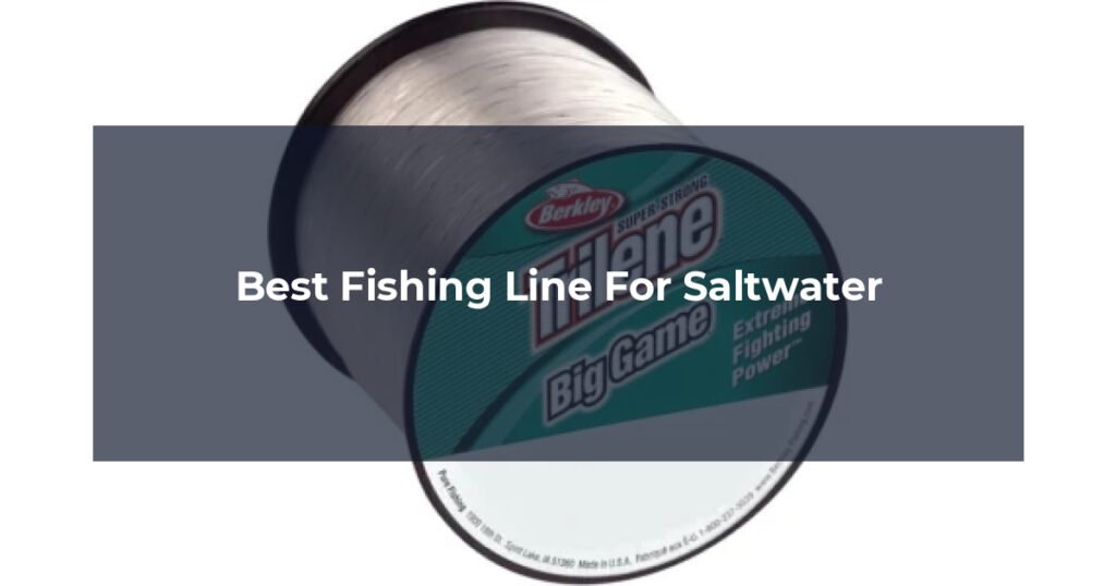 Best Fishing Line For Saltwater