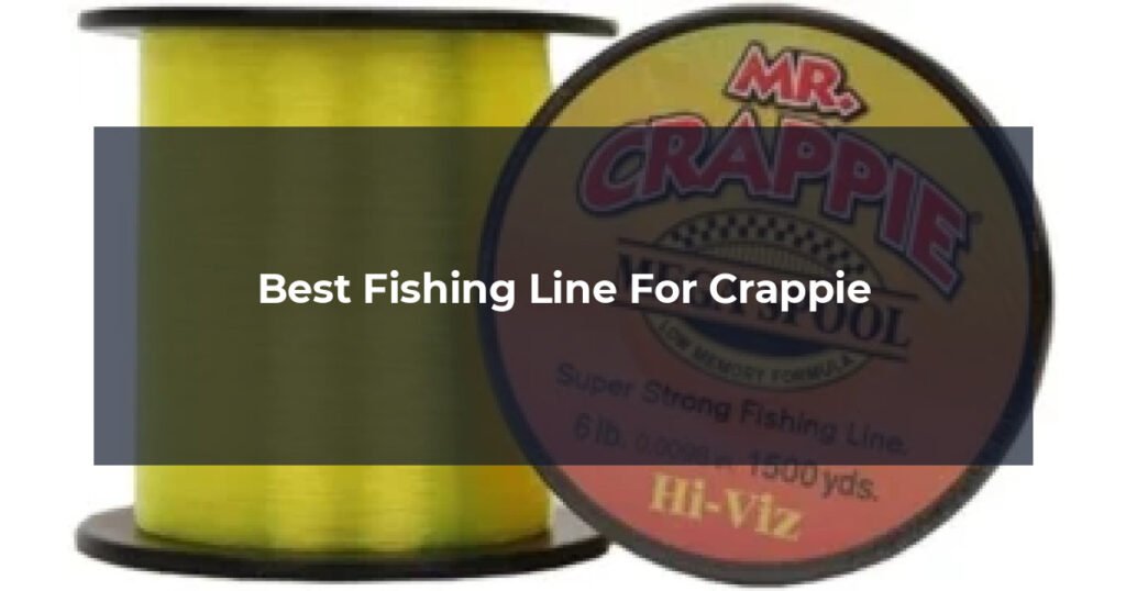Best Fishing Line For Crappie