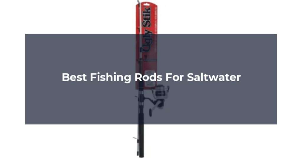 Best Fishing Rods For Saltwater