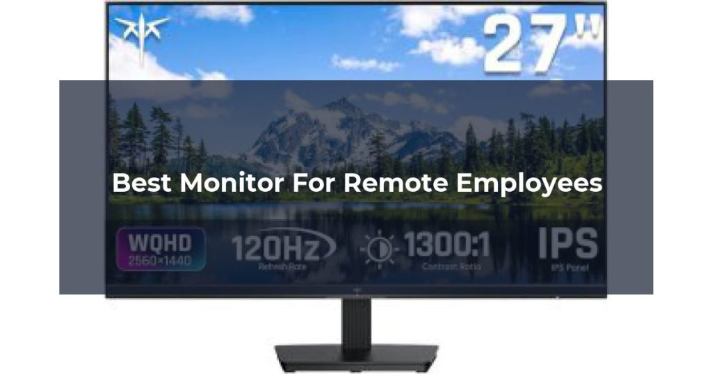 Best Monitor For Remote Employees