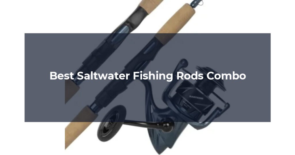 Best Saltwater Fishing Rods Combo