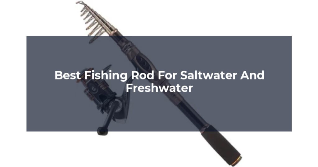 Best Fishing Rod For Saltwater And Freshwater