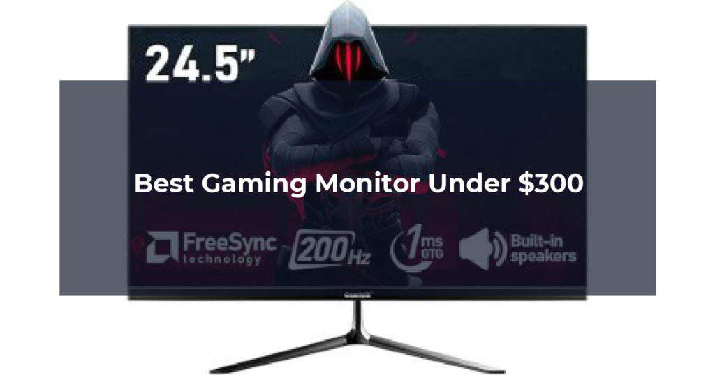 Best Gaming Monitor Under $300