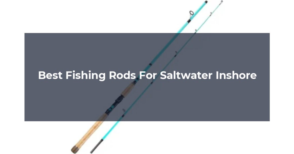 Best Fishing Rods For Saltwater Inshore