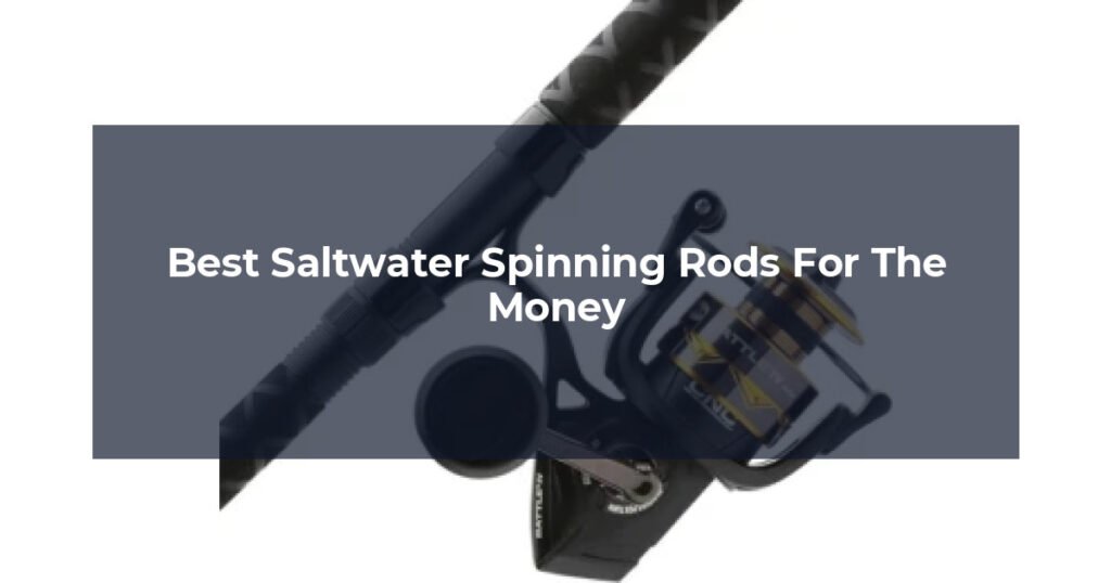 Best Saltwater Spinning Rods For The Money