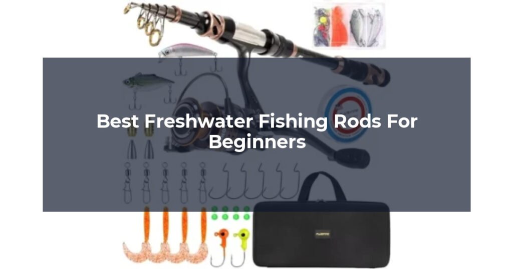 Best Freshwater Fishing Rods For Beginners