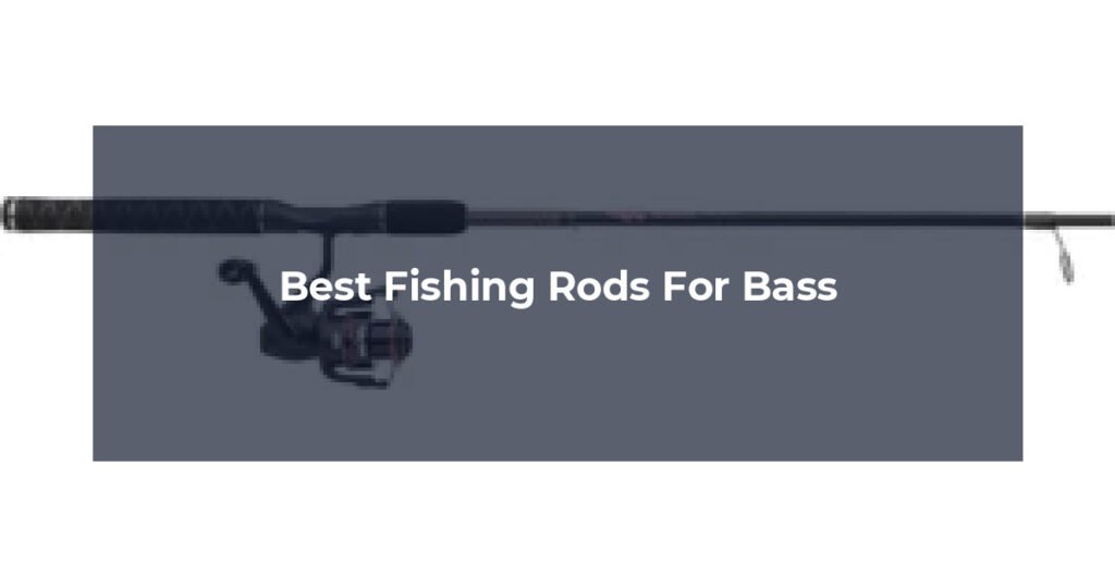 Best Fishing Rods For Bass