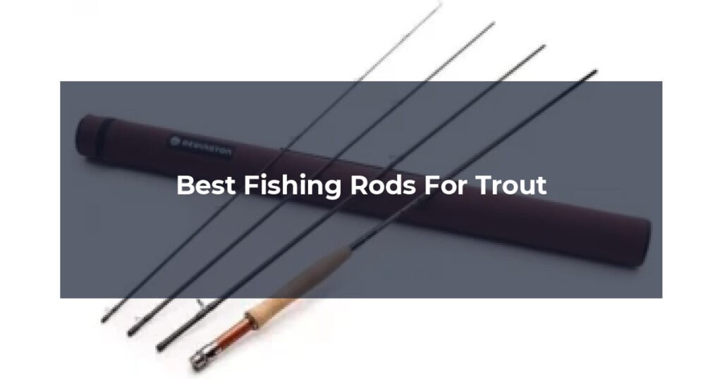 Best Fishing Rods For Trout